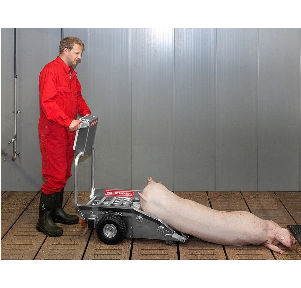 Porky's Pick Up trolley