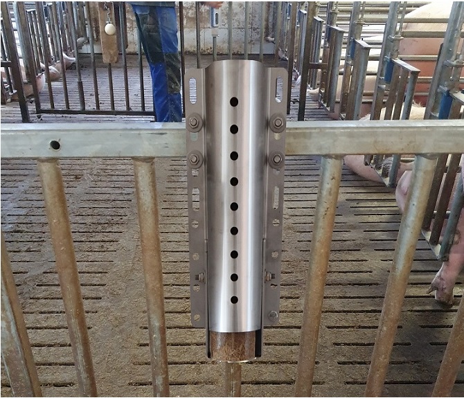 Nibbling pipe - Porky