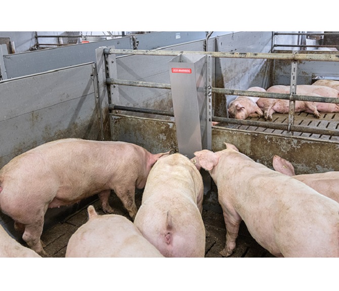 Porky's pellet machine - feeding pellets